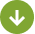 green download icon